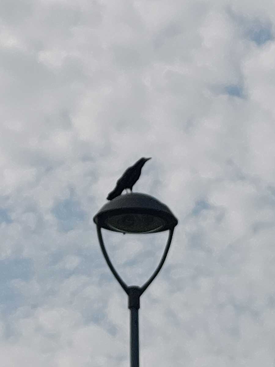 Jsme ještě právní stát? Abychom jím byli, nejsou nutné změny? Proč? Tady je pár příkladů