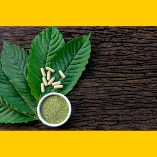 Kratom – neškodná rostlina nebo nebezpečná droga?